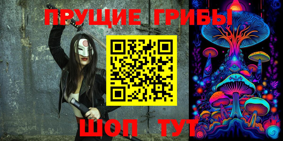 цена   Галлюциногенные грибы Cubensis  Новозыбков  Вход с VPN  Галлюциногенные грибы Magic Shrooms 