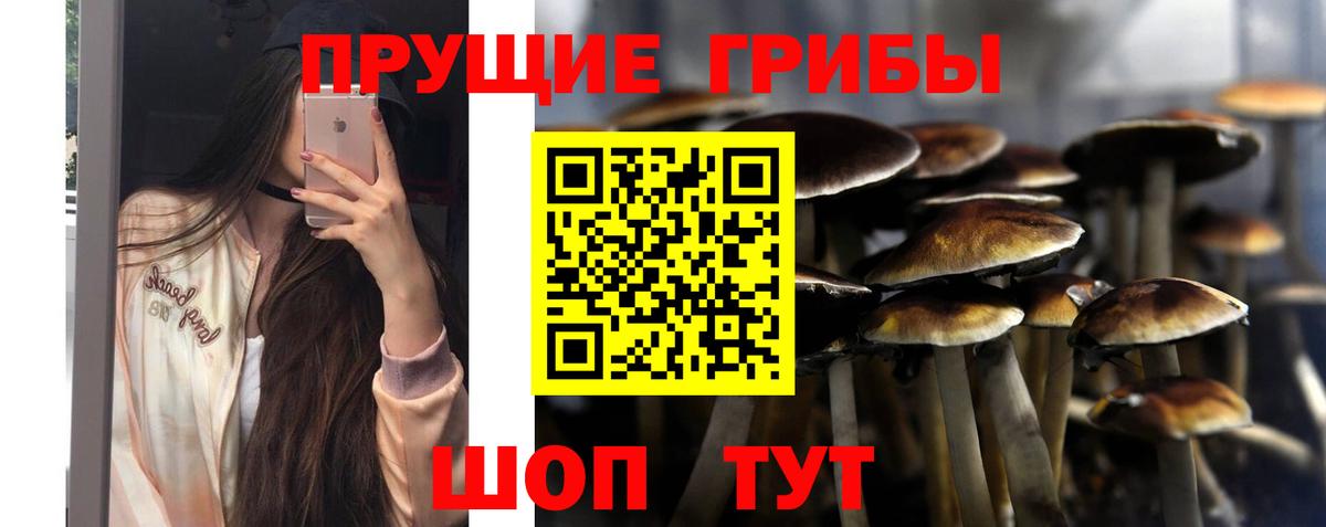 Галлюциногенные грибы ЛСД Новозыбков
